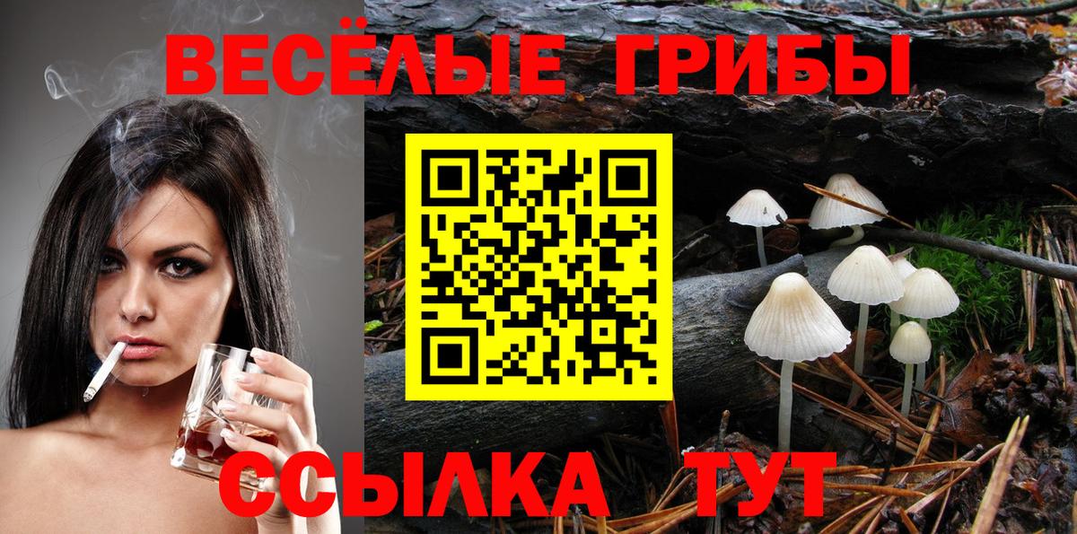 Карачаевск  Галлюциногенные грибы мицелий  Вход с VPN 
